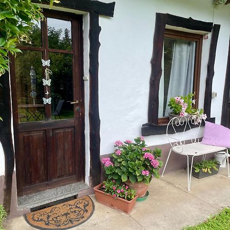 Apartament Casa Al Bottalino Biella Zewnętrze zdjęcie